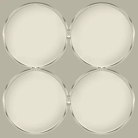 4 circles arranged in a square